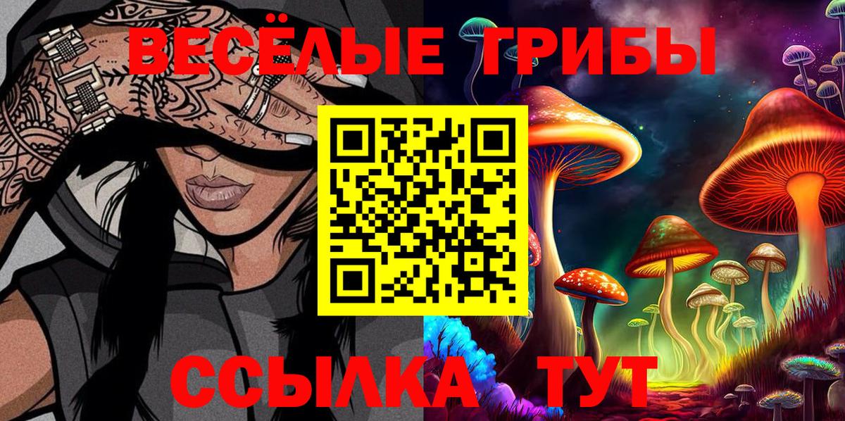 Галлюциногенные грибы MAGIC MUSHROOMS Светлоград